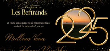 Bonne Année 2025 / Happy New Year 2025