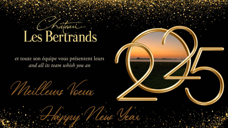 Bonne Année 2025 / Happy New Year 2025